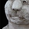 Le chat à lunettes de sophie favre